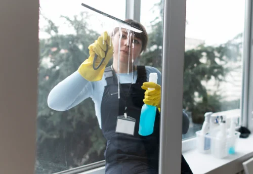 Nettoyage de vitres intérieures et extérieures à Communay